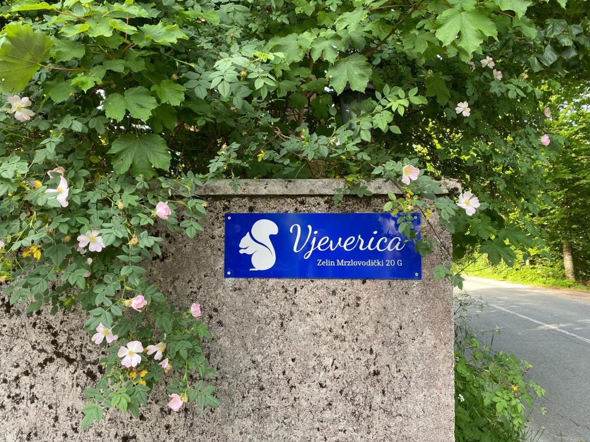 Apartments Vjeverica Zelin Mrzlovodicki Dış mekan fotoğraf