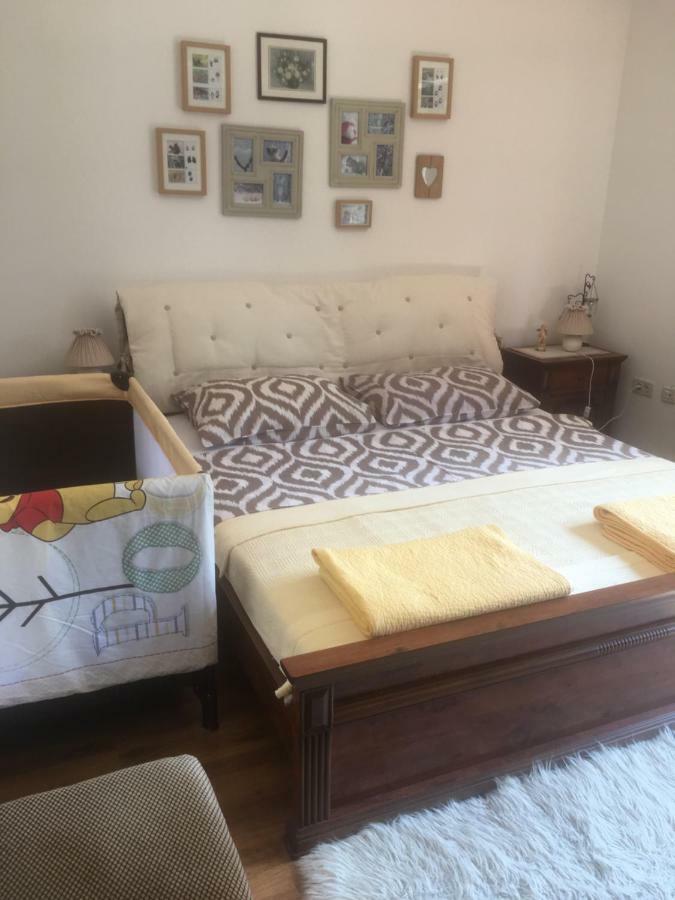 Apartments Vjeverica Zelin Mrzlovodicki Dış mekan fotoğraf